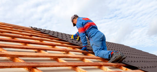 Best Roof Ventilation Installation  in Pine Island, TX